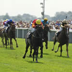 Horse racing special occasion car hire